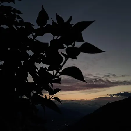 Kır Evi Alt'o Martinets Nendaz
